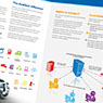 brochure design